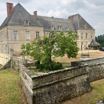 Oh My Château! - Chateau de Sommieres du Clain - thumbnail 2