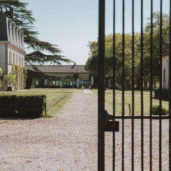 Oh My Château! - Château Guiraud - thumbnail 2