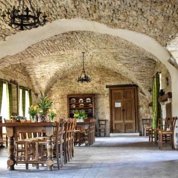 Oh My Château! - Château de Savigny-lès-Beaune - thumbnail 10